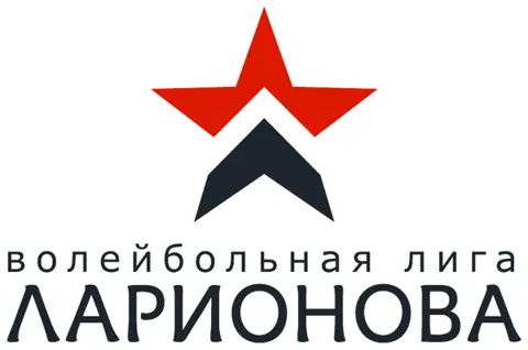 Волейбольная лига Ларионова